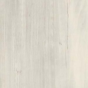 AR0W8240 Solar Pine