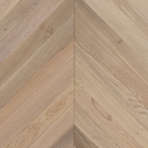 CV104 Seashell Chevron