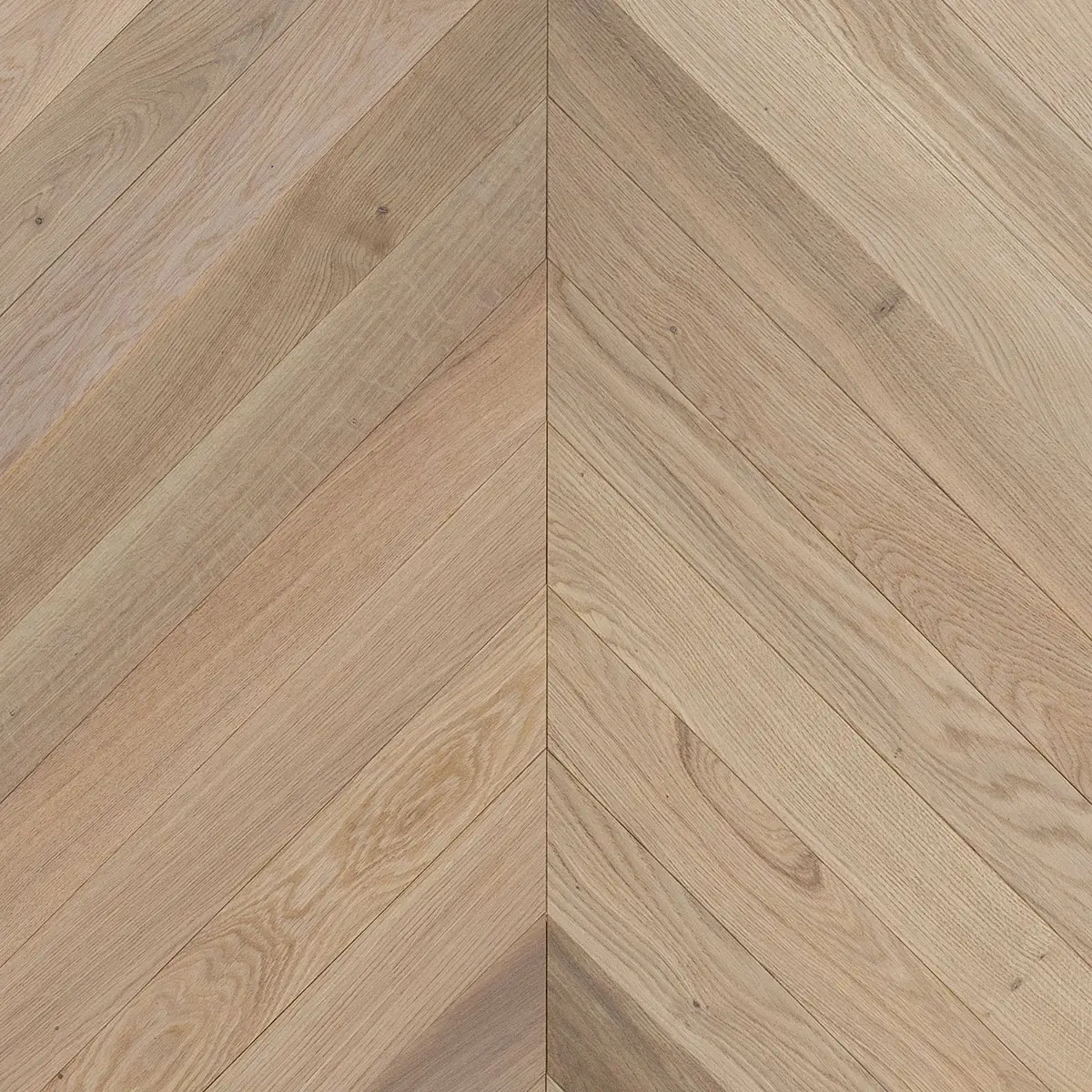 CV104 Seashell Chevron