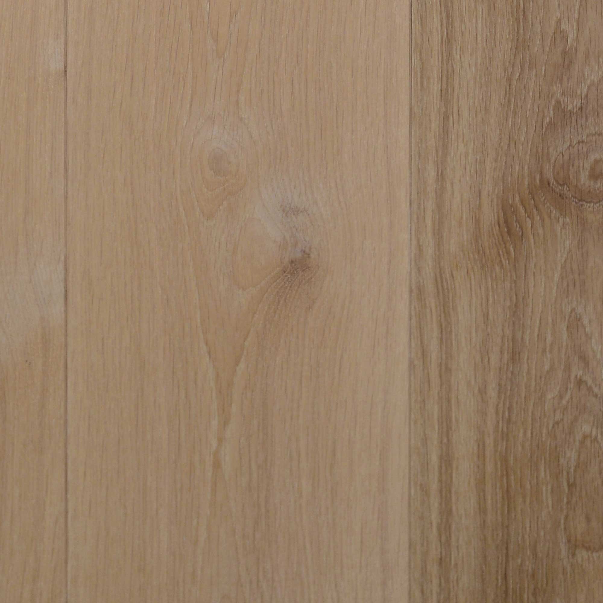 EBL202 Flake White - Image 2