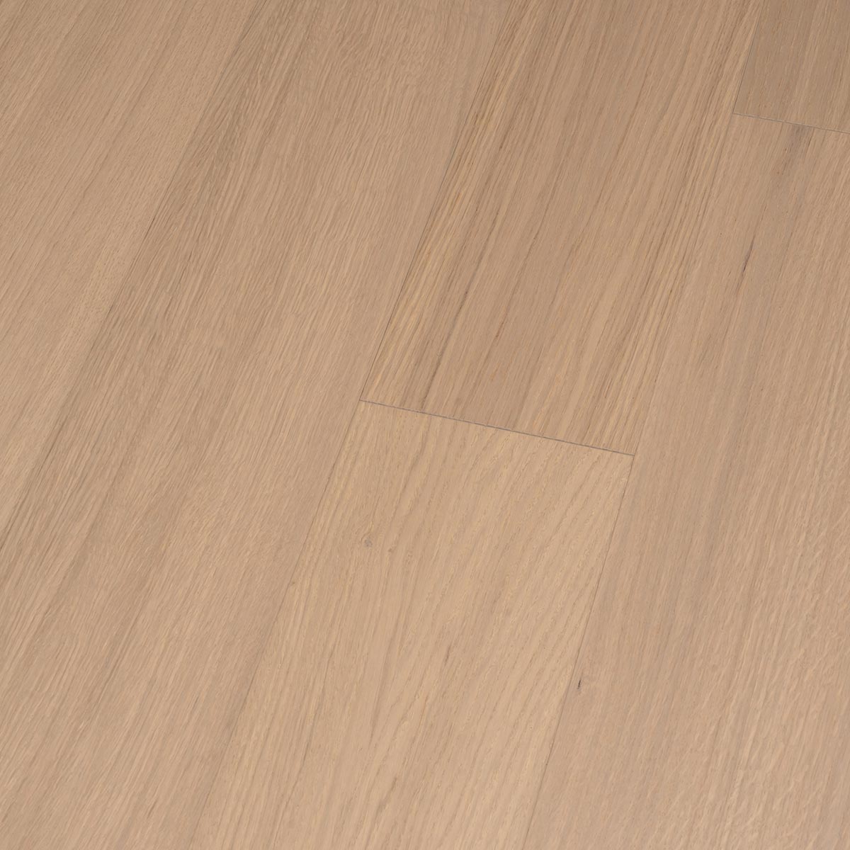 LIN105 Rolled Oat