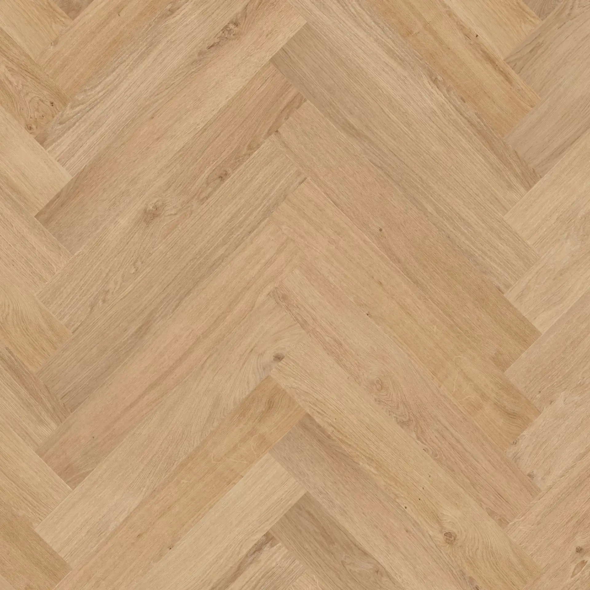 Toro F318 (Click) - Image 3
