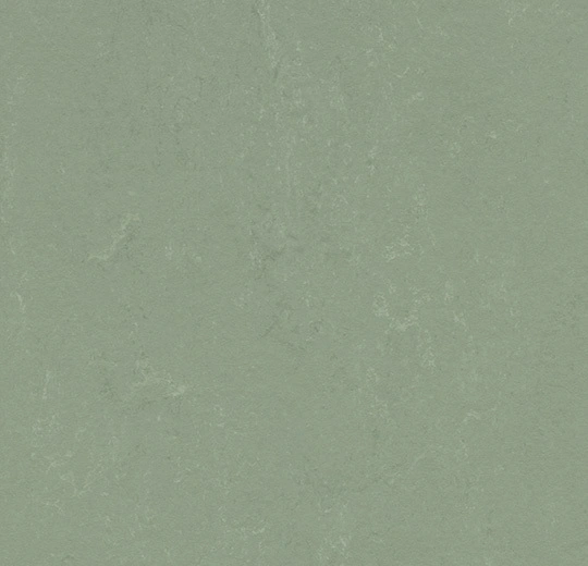 Marmoleum Solid Concrete: 3750 Pine Forest