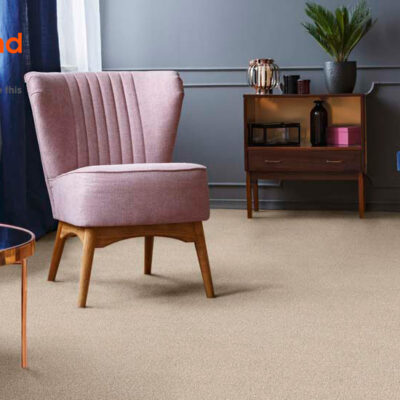 cn_elegance_main---Beyond-wool